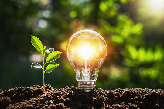 Renewable & Green Energy
